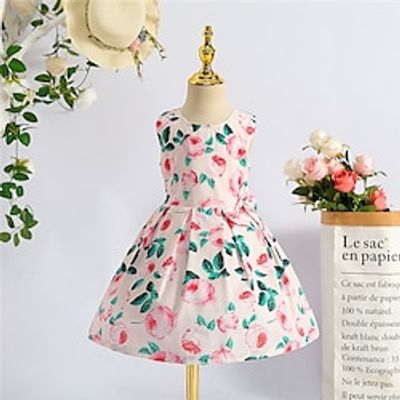 Kids Girls' Dress Party Dress Floral Graphic Sleeveless Performance Wedding Tie Knot Adorable Princess Cotton Knee-length Skater Dress Summer Spring 0-5 Years Pink Lightinthebox