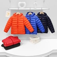 Kids Unisex Hoodie Jacket Outerwear Solid Color Long Sleeve Zipper Coat Outdoor Adorable Daily Orange color Black Red Spring Fall 7-13 Years Lightinthebox - thumbnail