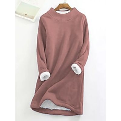 Women's Sweatshirt Dress Casual Dress Mini Dress Teddy Fleece Warm Outdoor Home Going out Turtleneck Pure Color Pure Color Loose Fit Purple S M L XL XXL Lightinthebox