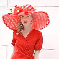 Fascinators Hats Organza Floppy Hat Sun Hat Wedding Tea Party Elegant Wedding With Feather Lace Side Headpiece Headwear Lightinthebox