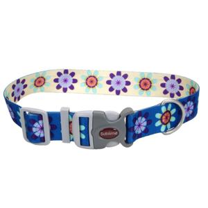 Coastal 1 And Sublime Dog Collar Flower Purple and Yellow Medium