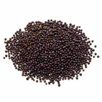 Mustard Seed 15kg