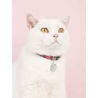 1 adjustable bell retro Bohemian pet collar suitable for small dogs and cats to decorate and wear Lightinthebox - thumbnail