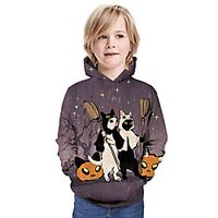 Kids Boys' Hoodie  Sweatshirt Long Sleeve Cat 3D Print Animal Unisex Purple Children Tops Summer Active Daily Wear Regular Fit 3-13 Years miniinthebox - thumbnail