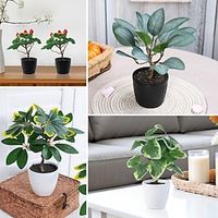 Simulated Flowers, Green Plants, Artificial Strawberries, Eucalyptus Leaves, Banyan Trees, Potted Plants, Suitable For Home, Restaurant, Tabletop, Courtyard, Office Decoration miniinthebox - thumbnail