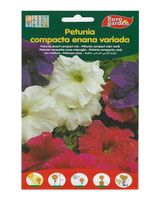 Euro Garden Petunia Dwarf Compact Mixed - thumbnail