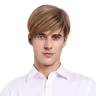 Blonde Mens Wigs Short Straight Layer Wigs for Men Natural Synthetic Hair Wig for Man Men Guy Cosplay Anime Party Costume Anime Men's Wig Lightinthebox