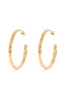 Liane Hoop Earrings - thumbnail