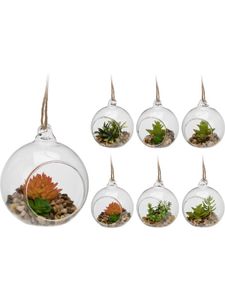 Christmas Succulent Plant In Glass 9Cm Assorted Design 1Pc Per Pack