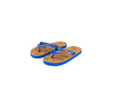 Kids Boy Slipper  Brown/Blue