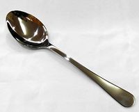 Winsor Fellini Serving Spoon, WR80751SS - thumbnail