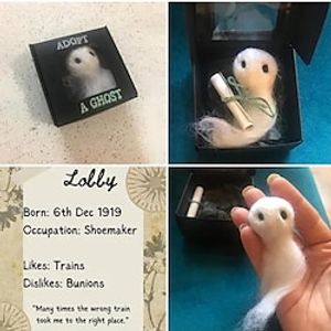 Halloween Home Decoration Gift, Halloween Ghost Box, Adopt A Ghost Lightinthebox