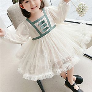 sweet girls lace tulle tutu dresses kids gauze snow flowers embroidery princess dress children birthday party clothing q1031 Lightinthebox