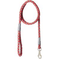 Four Paws Nite Brite Reflecting Collar Leash 5 - 8 Inch By 6Ft, Red