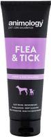 Animology Flea and Tick Dog Shampoo 250ml (UAE Delivery Only)
