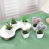 6pcs/set Evergreen Home Decoration Plants And Flowers Artificial Succulent Hairy Ball Small Potted Plants Suitable For Placing In Bedrooms Restaurants Tabletops Shelves Windowsills Offices miniinthebox