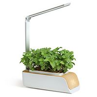 Smart Flowerpot Hydroponics Growing System Indoor Herb with Led Grow Light Smart Garden Planter for Home Kitchen Vegetable Lightinthebox - thumbnail