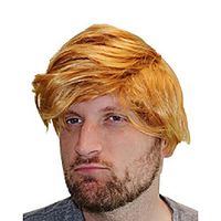 trumpedup wig, deluxe - funny president donald trump fake hair gag gift (fon-10246) miniinthebox - thumbnail