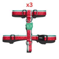 Zee Dog Lola H-Harness Small (Pack Of 3)