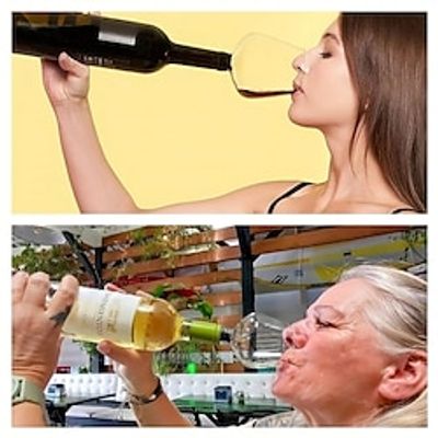 1pc, Wine Bottle Glass, Turns Your Bottle Into Your Glass, Party Drinkware Lightinthebox