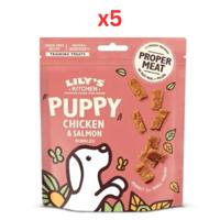 Lily's Kitchen Chicken and Salmon Nibbles Puppy Treats 70G (Pack Of 5)