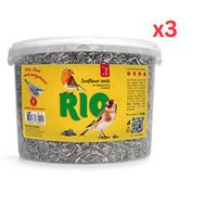 RIO Sunflower Seeds 2kg (Pack Of 3)
