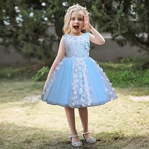 Toddler Little Girls' Dress Flower Tulle Dress Party Birthday Embroidered Mesh Patchwork Blue White Purple Midi Sleeveless Princess Cute Dresses Children's Day Spring Summer Slim 1-5 Years Lightinthebox