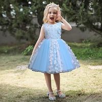 Toddler Little Girls' Dress Flower Tulle Dress Party Birthday Embroidered Mesh Patchwork Blue White Purple Midi Sleeveless Princess Cute Dresses Children's Day Spring Summer Slim 1-5 Years Lightinthebox - thumbnail