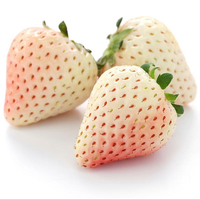 500Pcs Powder Crystal Strawberry Seeds