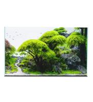 Exotic Aquariums Plant Tank Aquarium - 80X40X40CM