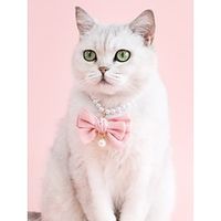 Dog Cat Collar Tie  Bow Tie Soft Cute and Cuddly Safety Cute Safety Soft Adorable Outdoor Hiking Walking Bowknot Flower Polyester Dalmatian Beagle Poodle Chihuahua Baby Pet Small Dog Pink 1PC Lightinthebox - thumbnail
