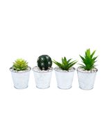 Homesmiths Plant In Zinc Pot 1 Planters