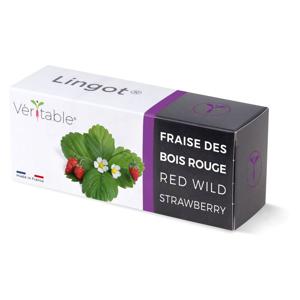 Veritable Lingot® Wild Red Strawberry