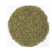 Green Millet Bajra 15kg Bulk Bag (Dubai Delivery Only)