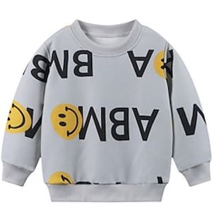 Kids Unisex Sweatshirt Long Sleeve Number Letter Crewneck Gray Children Tops Spring Summer Active Cool Daily Outdoor Regular Fit 3-6 Years Lightinthebox