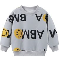 Kids Unisex Sweatshirt Long Sleeve Number Letter Crewneck Gray Children Tops Spring Summer Active Cool Daily Outdoor Regular Fit 3-6 Years Lightinthebox - thumbnail