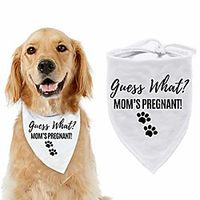 pregnancy announcement dog bandana - guess what? my mom is pregnant reveal scarf - washable pet accessories made with soft cotton - fits small to large pups - cute Lightinthebox - thumbnail