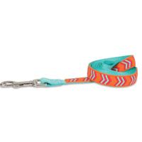 Petmate Rubber Dog Leash 3-4 Inch X 6 Ft, Orange Chevron