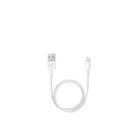 Apple Lightning To USB Cable 0.5M