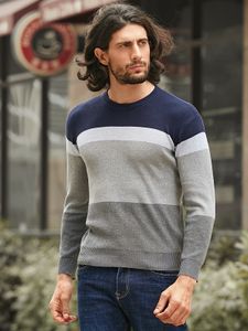 Men Casual Color Block Round Neck Long Sleeve Sweater
