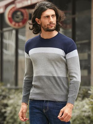 Men Casual Color Block Round Neck Long Sleeve Sweater