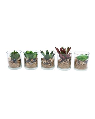 Homesmiths Plant In Zinc Pot Plant Assorted 1 Piece White Oil Base