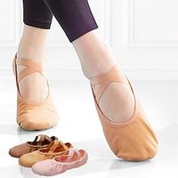 Women's Ballet Shoes Ballroom Dance Shoes Dance Shoes Practice Yoga Soft Half Sole Flat Heel Closed Toe Elastic Adults' Pink Lightinthebox - thumbnail