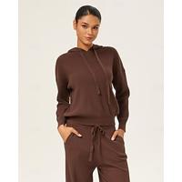 Women's Female Unisex Casual Shirt Striped Casual Bishop Sleeve Brown Long Sleeve Elegant Hooded Fall