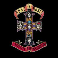 Appetite For Destruction Rm | Guns N Roses