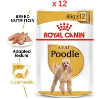 Royal Canin Breed Health Nutrition Poodle Adult Wet Dog Food Pouches
