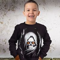 Halloween Boys 3D Skull Sweatshirt Pullover Long Sleeve 3D Print Fall Winter Fashion Streetwear Cool Polyester Kids 3-12 Years Outdoor Casual Daily Regular Fit Lightinthebox - thumbnail