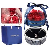 Preserved Rose Romantic for Her, Unique Birthday Gift for Mom Grandma Grilfriend Women Wife Valentines Gift, Only Gift Box, Without Necklace Earrings miniinthebox - thumbnail