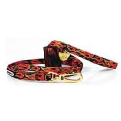 Dogness Neoprene Blaze Leash S