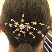 Women's Girls' Hair Sticks Hair Jewelry For Wedding Party Evening Birthday Party Festival Flower Classic Silver Plated Alloy Silver 1pc Lightinthebox - thumbnail